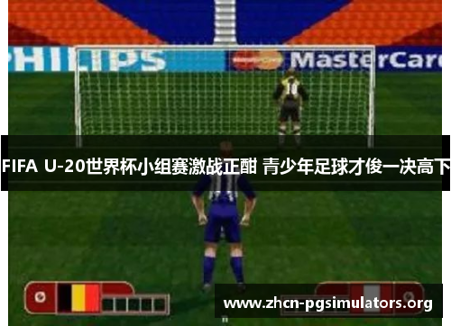 FIFA U-20世界杯小组赛激战正酣 青少年足球才俊一决高下