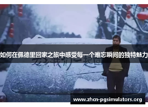 如何在佩德里回家之旅中感受每一个难忘瞬间的独特魅力