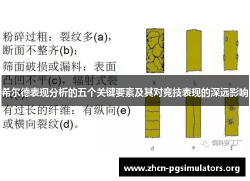 希尔德表现分析的五个关键要素及其对竞技表现的深远影响