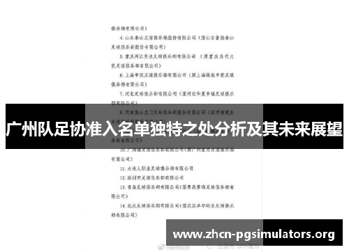 广州队足协准入名单独特之处分析及其未来展望