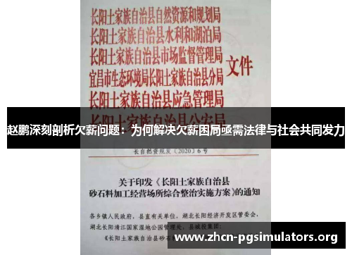 赵鹏深刻剖析欠薪问题：为何解决欠薪困局亟需法律与社会共同发力