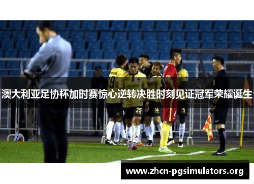 澳大利亚足协杯加时赛惊心逆转决胜时刻见证冠军荣耀诞生 澳大利亚足协杯加时赛惊心逆转决胜时刻见证冠军荣耀诞生